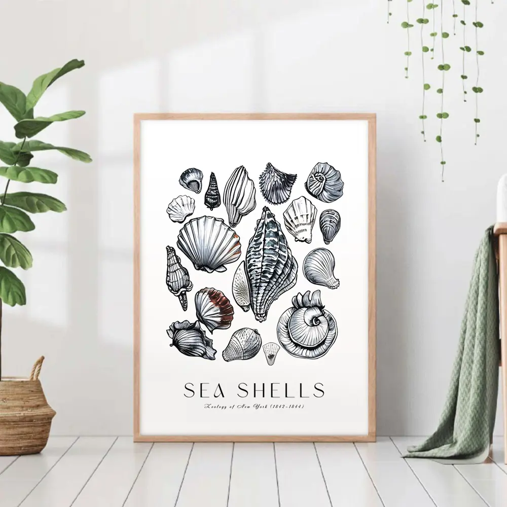 Фото Постер 28 картин "Морские ракушки" 50x40 см Фото Постер 28 картин "Морские ракушки" 50x40 см