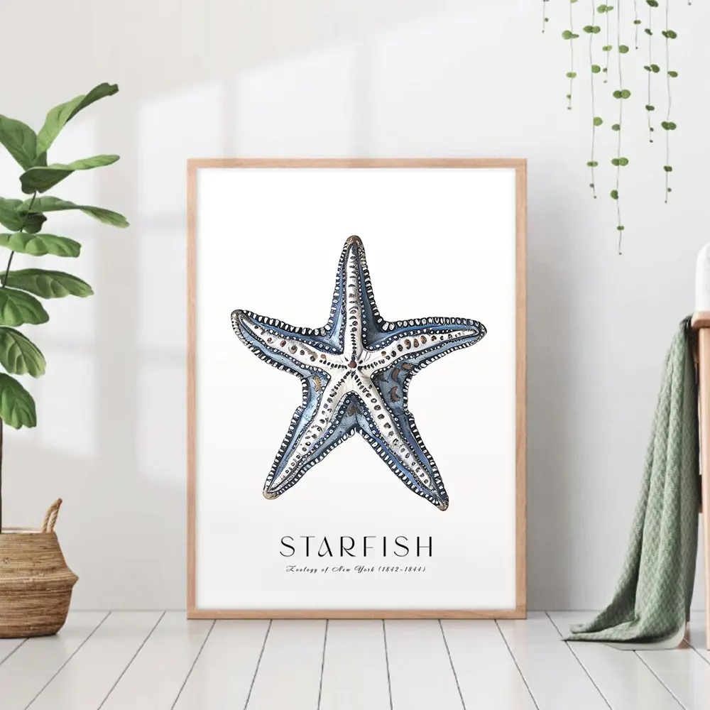 Фото Постер 28 картин "Морская звезда" 70x50 см Фото Постер 28 картин "Морская звезда" 70x50 см