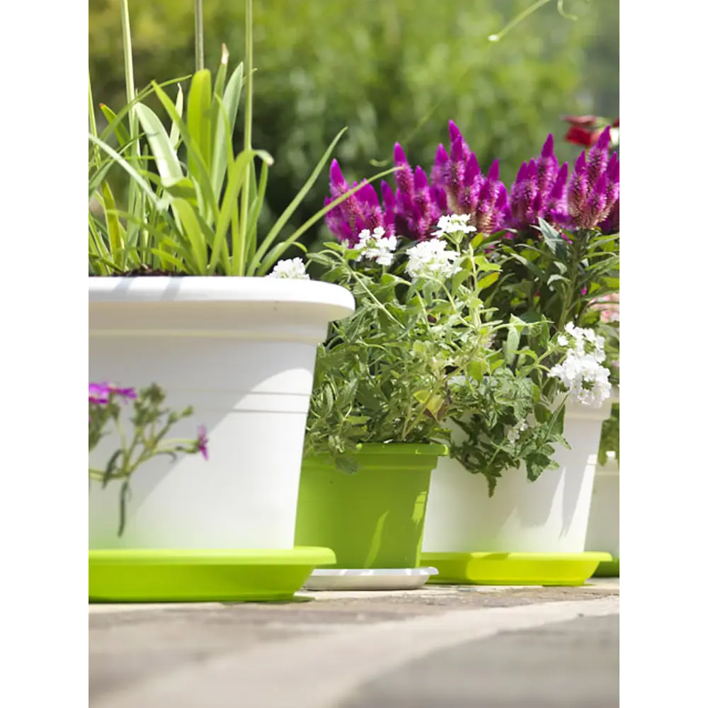 Фото 6 Горшок цветочный 01001025007 Teraplast 25 см 4.8 л пластик мультиколор Фото 6 Горшок цветочный 01001025007 Teraplast 25 см 4.8 л пластик мультиколор