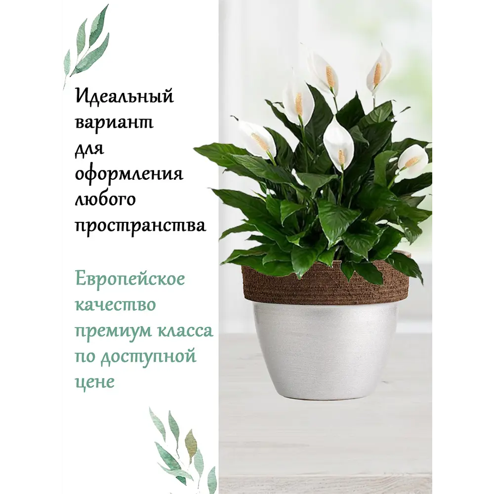 Фото 4 Горшок цветочный D1714C Deroma 14 см 1.8 л керамика хром Фото 4 Горшок цветочный D1714C Deroma 14 см 1.8 л керамика хром