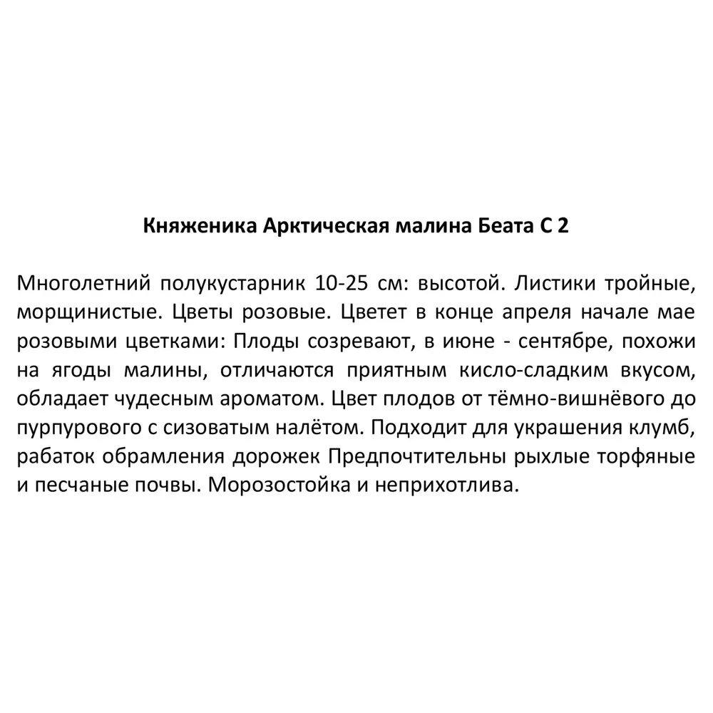 Фото 5 Княженика микс ø17 h30 см Фото 5 Княженика микс ø17 h30 см