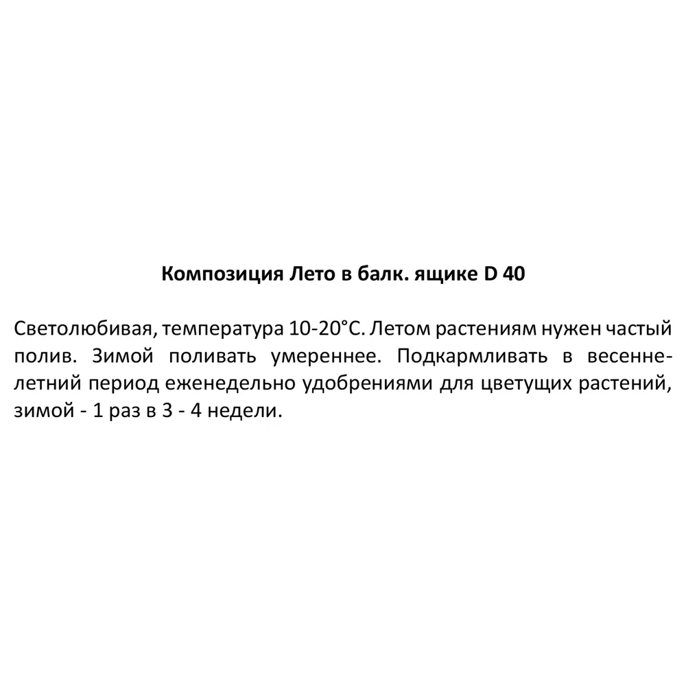Фото 5 Композиция Лето в балконном ящике h35 см Фото 5 Композиция Лето в балконном ящике h35 см