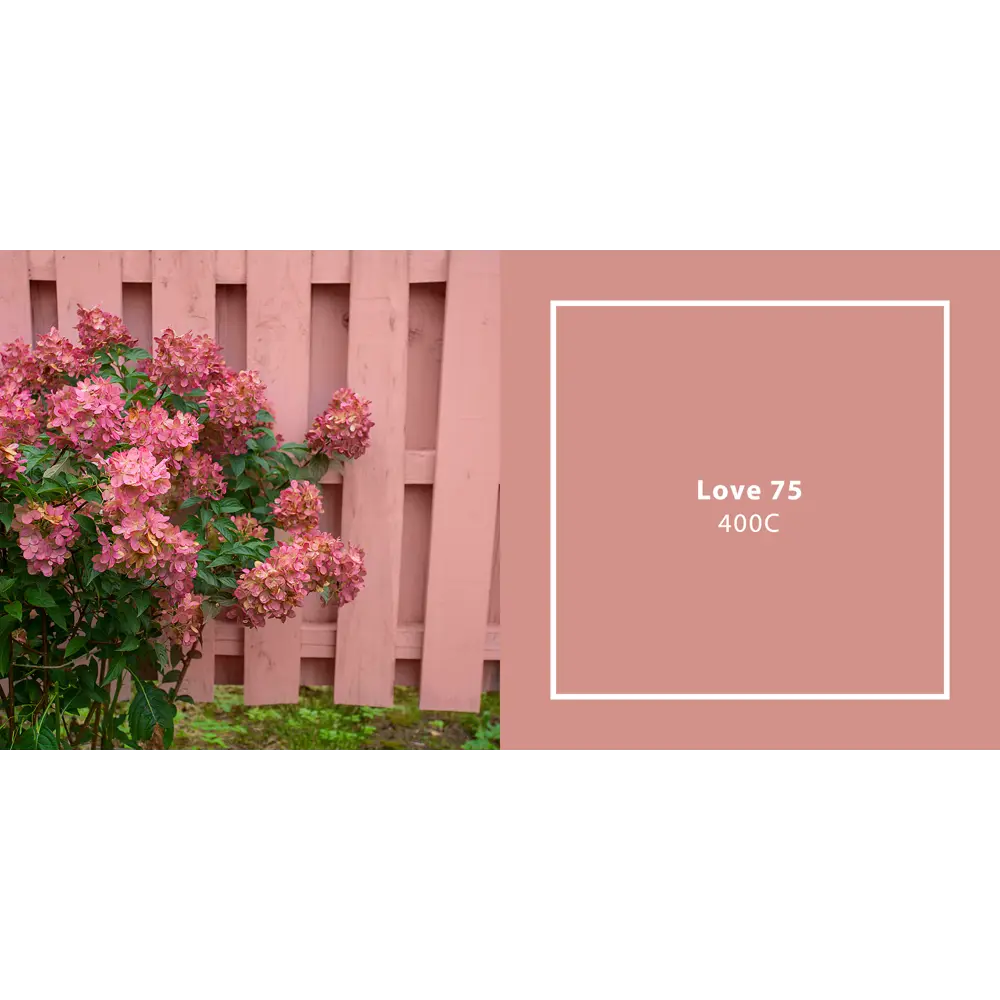 Фото 2 Краска для внутренних покрытий JUB 1009810-400C JUPOL GOLD цвет коричневый 4.75 л Фото 2 Краска для внутренних покрытий JUB 1009810-400C JUPOL GOLD цвет коричневый 4.75 л