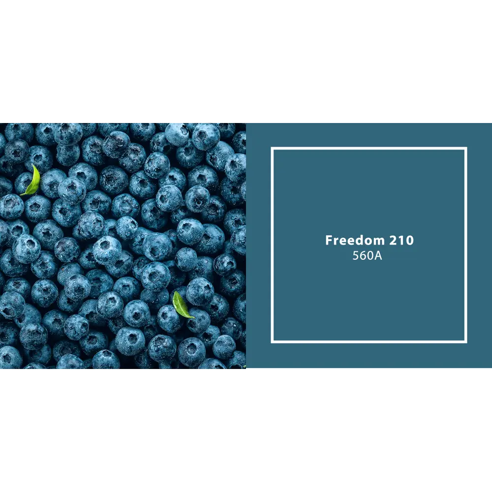 Фото 2 Краска для внутренних покрытий JUB 1009813-560A JUPOL GOLD цвет синий 9.50 л Фото 2 Краска для внутренних покрытий JUB 1009813-560A JUPOL GOLD цвет синий 9.50 л