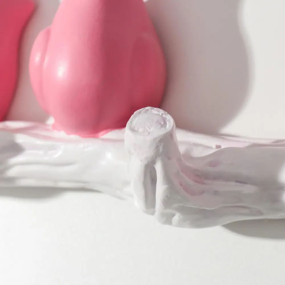 Фото 2 Ключница Simaland открытая "Четыре птички на ветке" розовые 10.5x6x45 см Фото 2 Ключница Simaland открытая "Четыре птички на ветке" розовые 10.5x6x45 см