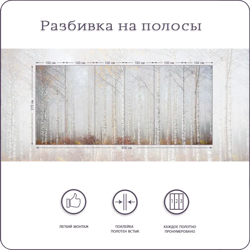 Фото 3 Фотообои флизелиновые Bartonwall 600x270 см Лес Береза Фото 3 Фотообои флизелиновые Bartonwall 600x270 см Лес Береза