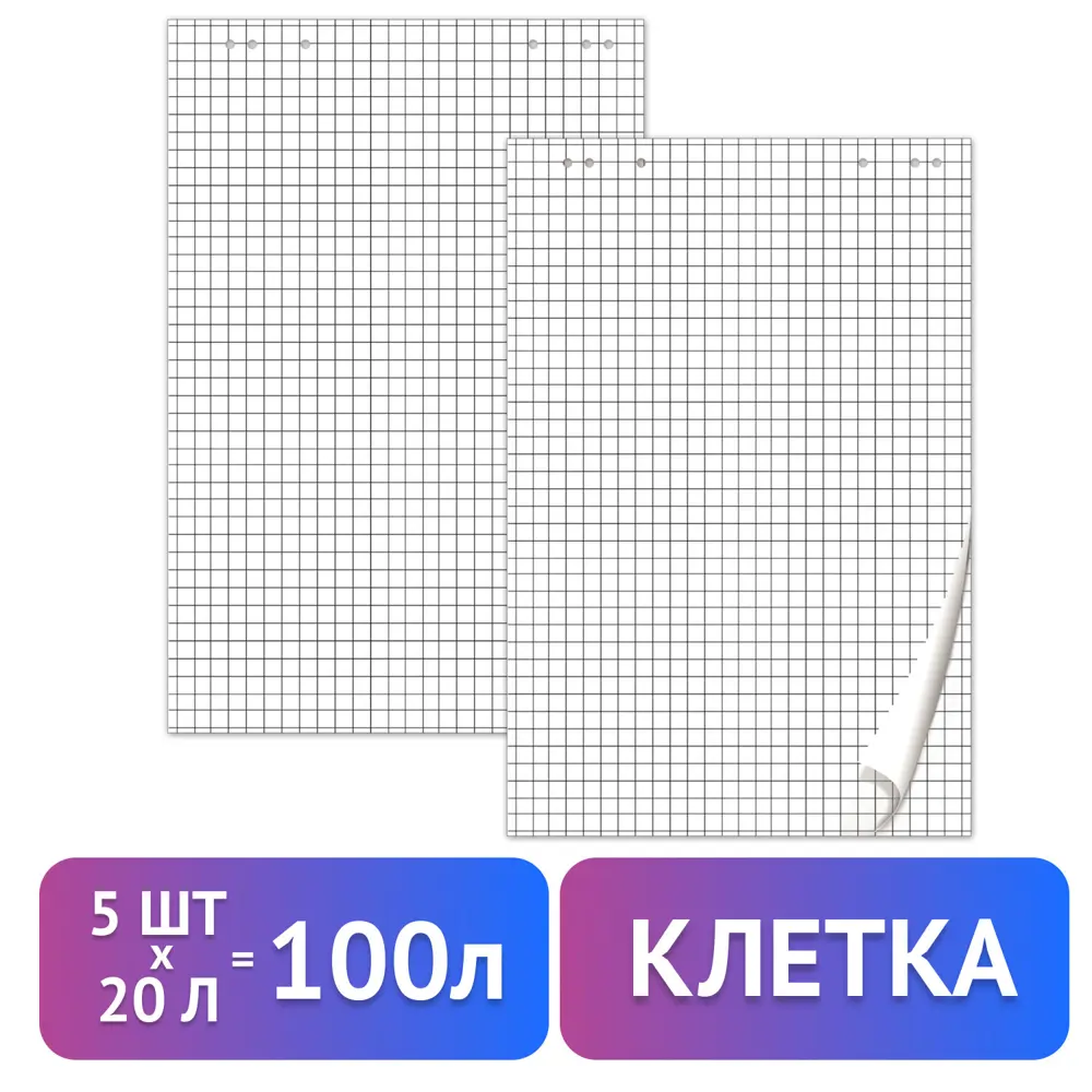 Фото Бумага/листы/блокнот/блок для флипчарта Brauberg Комплект 5 штук 20 листов клетка 67.5x98 см 80 г/м2 124097 Фото Бумага/листы/блокнот/блок для флипчарта Brauberg Комплект 5 штук 20 листов клетка 67.5x98 см 80 г/м2 124097