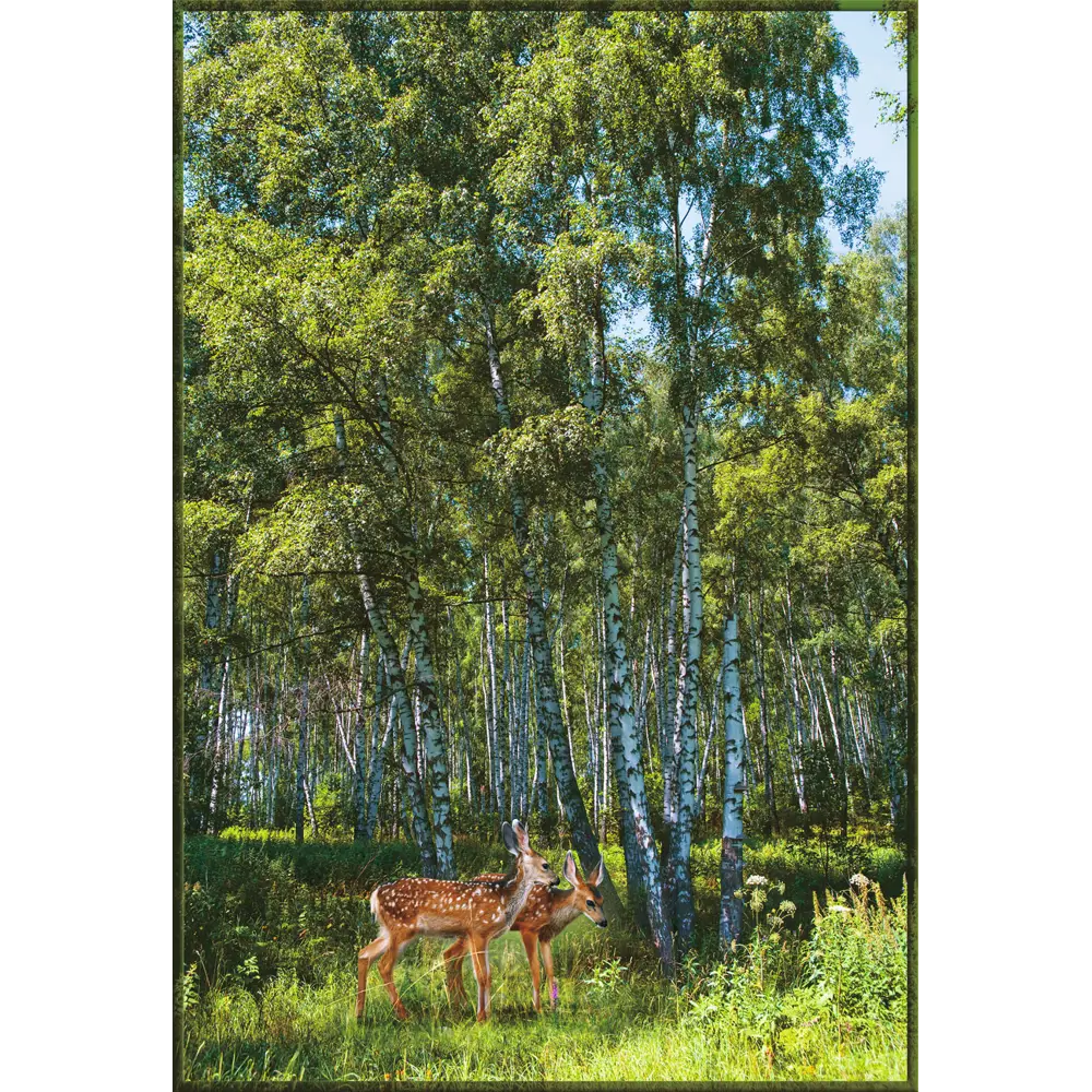 Фото Фотообои Vostorg № 77 Русские березы 134x196 см Фото Фотообои Vostorg № 77 Русские березы 134x196 см