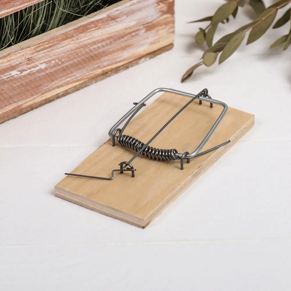 Фото 3 Мышеловка 10x5 см деревянная