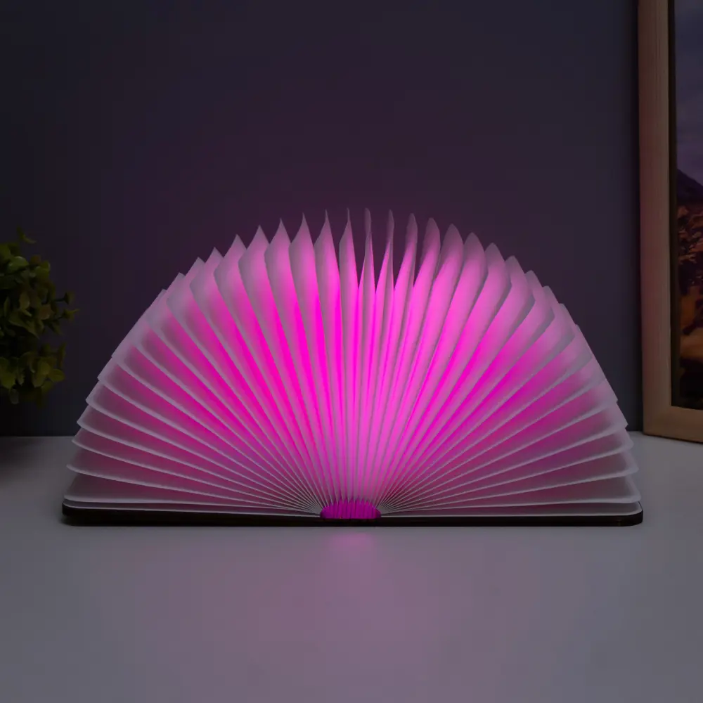 Фото 17 Ночник светодиодный Risalux 9615010 Книга Фото 17 Ночник светодиодный Risalux 9615010 Книга