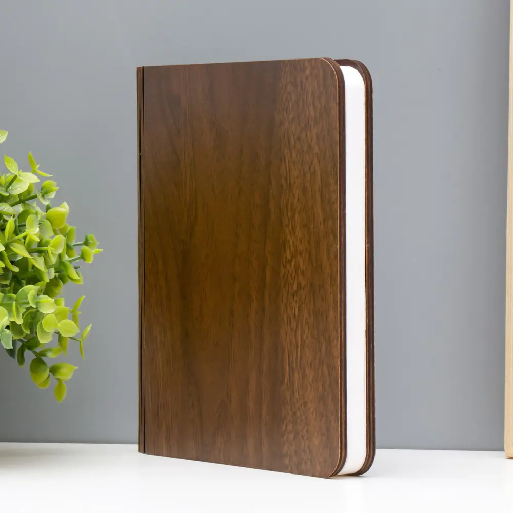 Фото 3 Ночник светодиодный Risalux 9615010 Книга Фото 3 Ночник светодиодный Risalux 9615010 Книга