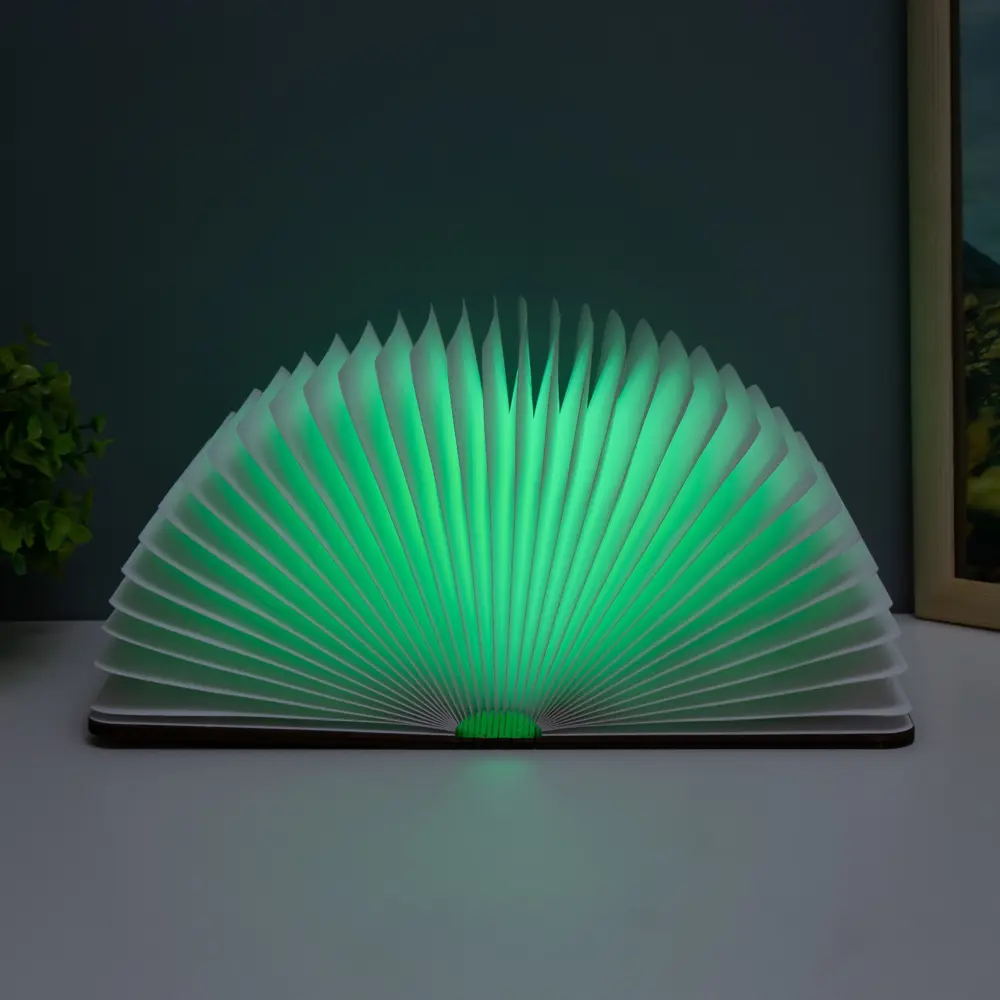 Фото 13 Ночник светодиодный Risalux 9615010 Книга Фото 13 Ночник светодиодный Risalux 9615010 Книга