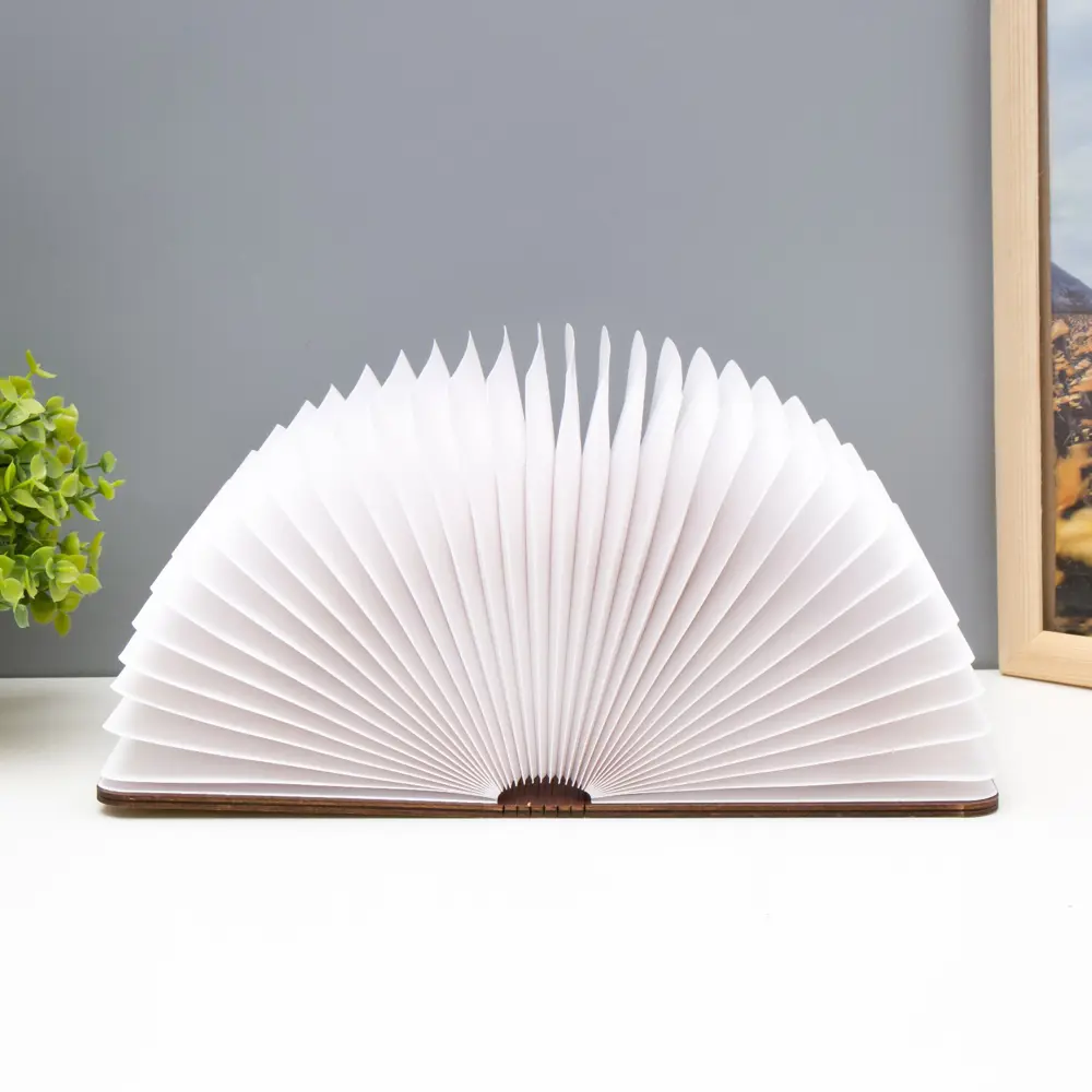 Фото Ночник светодиодный Risalux 9615010 Книга Фото Ночник светодиодный Risalux 9615010 Книга