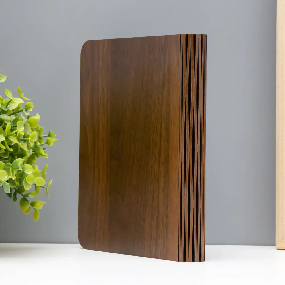 Фото 4 Ночник светодиодный Risalux 9615010 Книга Фото 4 Ночник светодиодный Risalux 9615010 Книга