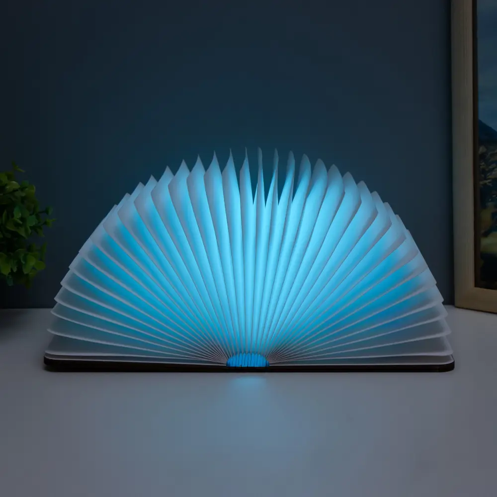 Фото 14 Ночник светодиодный Risalux 9615010 Книга Фото 14 Ночник светодиодный Risalux 9615010 Книга