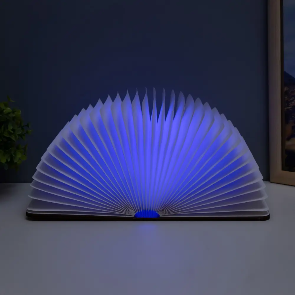 Фото 15 Ночник светодиодный Risalux 9615010 Книга Фото 15 Ночник светодиодный Risalux 9615010 Книга