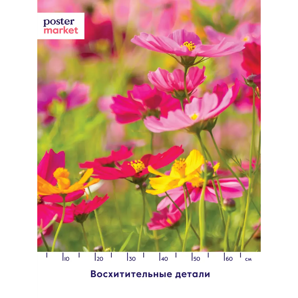 Фото 4 Фотообои бумажные Postermarket 254x184 см WM-79 Полевые цветы Фото 4 Фотообои бумажные Postermarket 254x184 см WM-79 Полевые цветы
