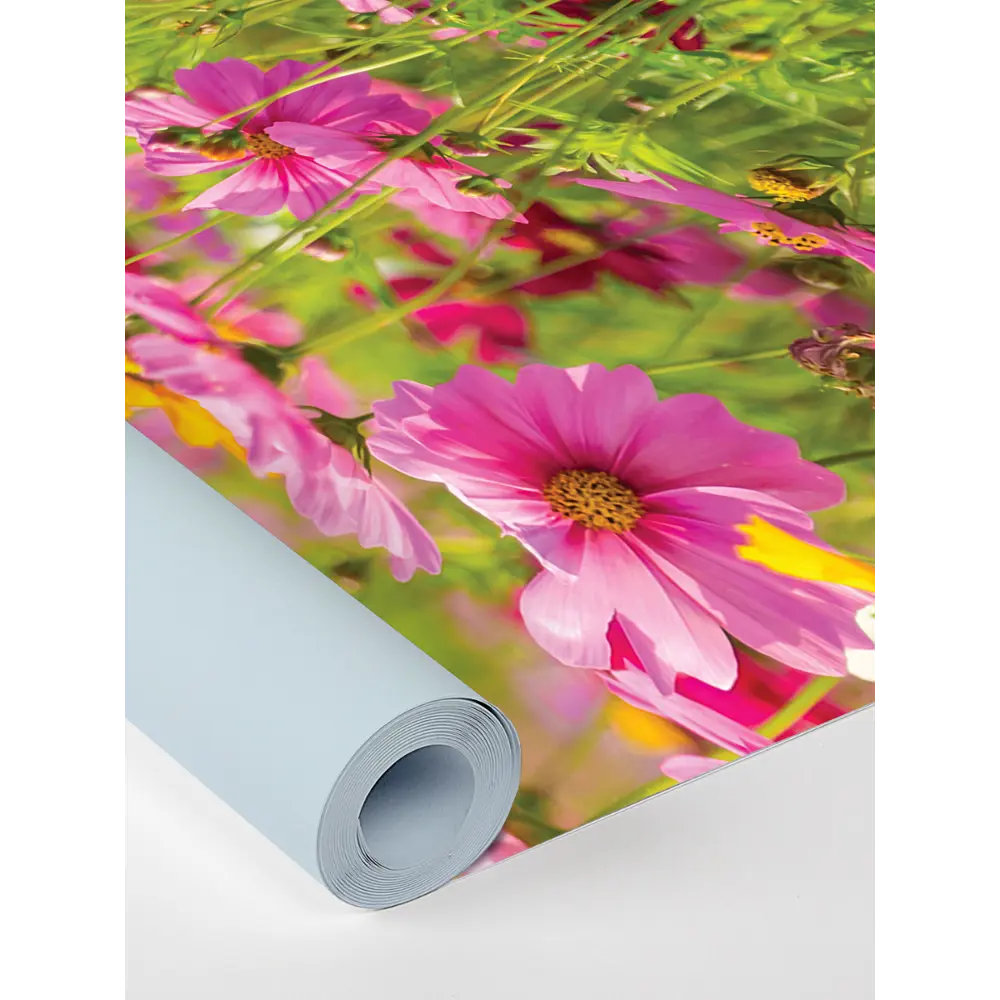 Фото 7 Фотообои бумажные Postermarket 254x184 см WM-79 Полевые цветы Фото 7 Фотообои бумажные Postermarket 254x184 см WM-79 Полевые цветы