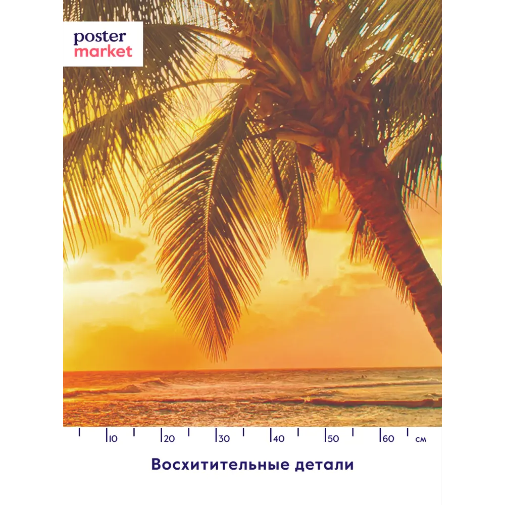 Фото 4 Фотообои флизелиновые Postermarket 368x254 см WM-56NW Пальма Фото 4 Фотообои флизелиновые Postermarket 368x254 см WM-56NW Пальма