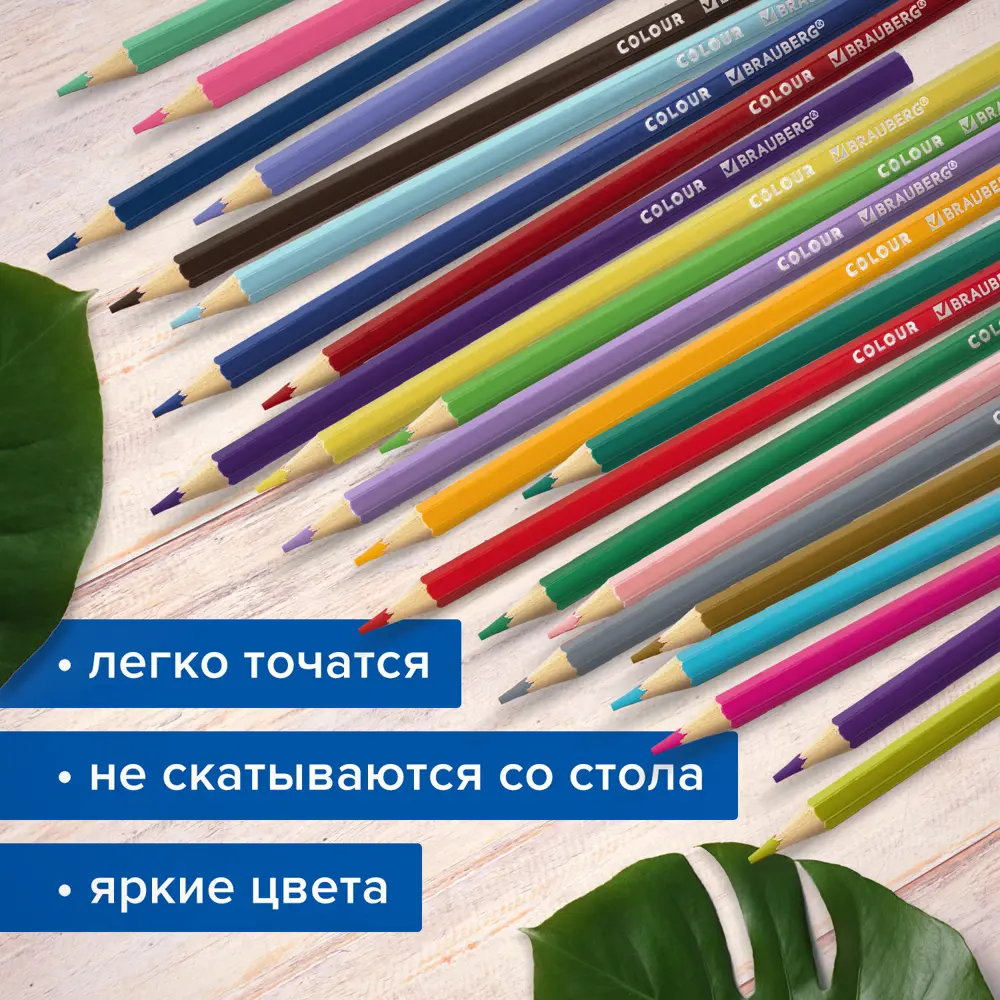 Фото 11 Карандаши Brauberg Max 181861 деревянные цветные для рисования супермягкие яркие классические 72 цвета, грифель 3.3 мм Фото 11 Карандаши Brauberg Max 181861 деревянные цветные для рисования супермягкие яркие классические 72 цвета, грифель 3.3 мм