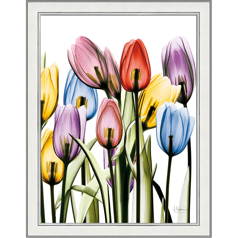 Фото 2 Картина в раме Grafis-art "Цветы X-RAY 1" 30x40 см Фото 2 Картина в раме Grafis-art "Цветы X-RAY 1" 30x40 см