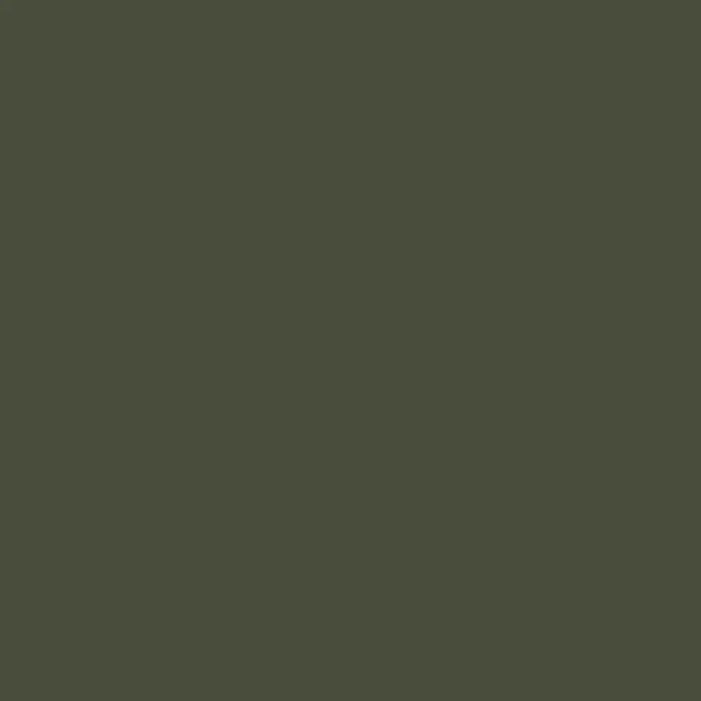 Фото 2 Краска фасадная Profipaints Silver wood fasade 11221_D_2 износостойкая полуматовая цвет RAL-6020 зеленый 0.9 л Фото 2 Краска фасадная Profipaints Silver wood fasade 11221_D_2 износостойкая полуматовая цвет RAL-6020 зеленый 0.9 л