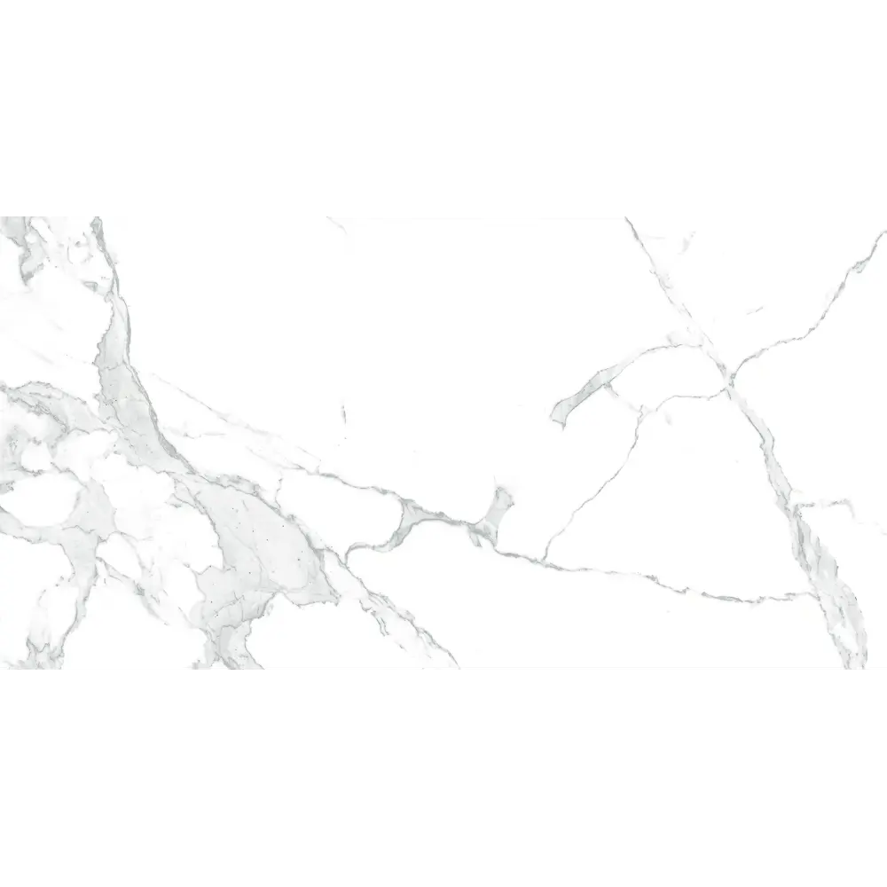 Фото 2 Керамогранит Arcadia Ceramica Paradise Statuario 60x120x0.9 см 1.44 м² матовый цвет белый Фото 2 Керамогранит Arcadia Ceramica Paradise Statuario 60x120x0.9 см 1.44 м² матовый цвет белый