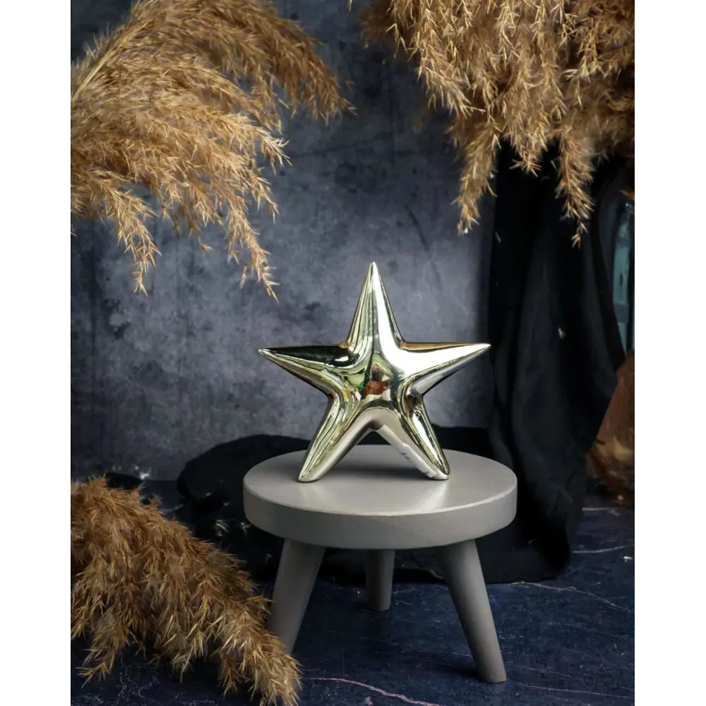 Фото Статуэтка Cosy & Trendy "Звезда" 13x4x4 см бронзовая, керамика