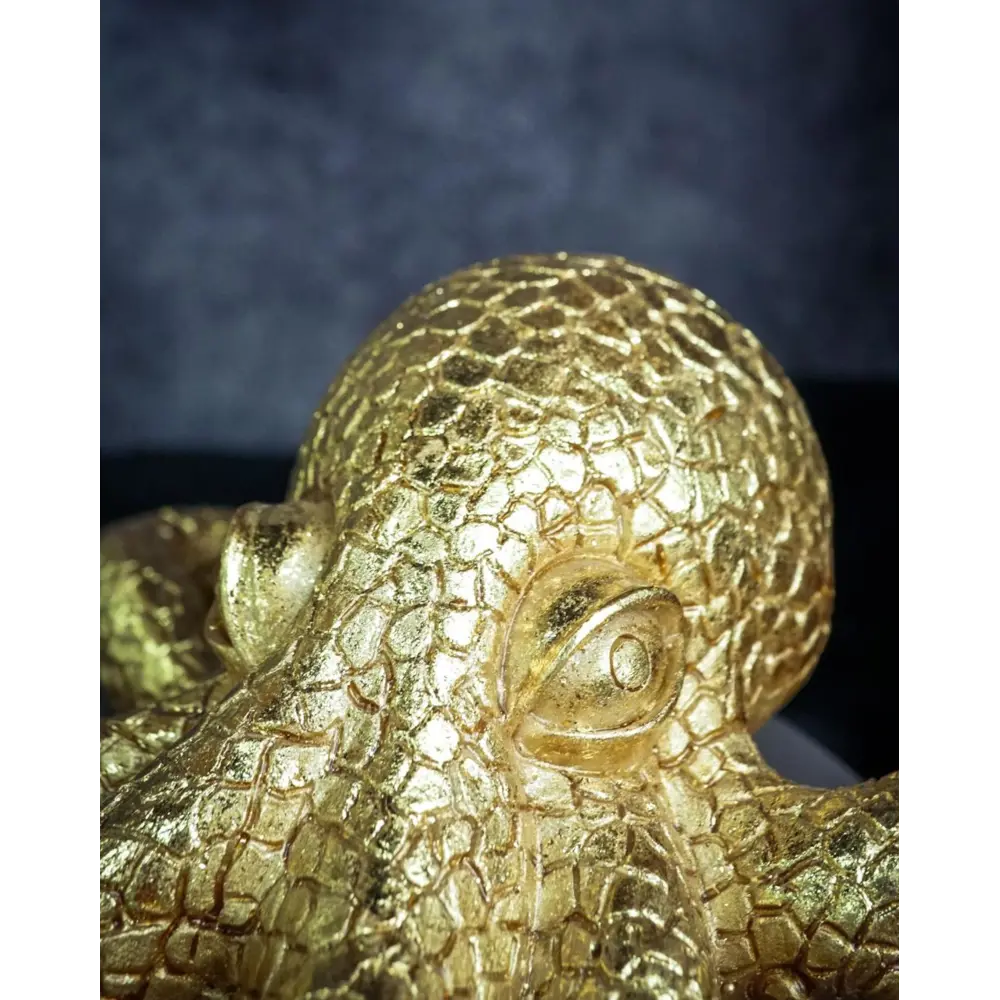 Фото 4 Статуэтка Cosy & Trendy "Осьминог" 19x7x23 см бронзовая, полимер Фото 4 Статуэтка Cosy & Trendy "Осьминог" 19x7x23 см бронзовая, полимер