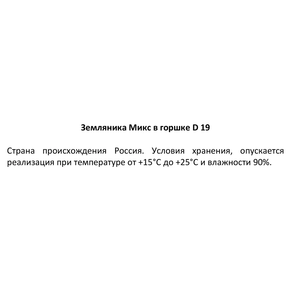Фото 4 Земляника микс ø19 см Фото 4 Земляника микс ø19 см