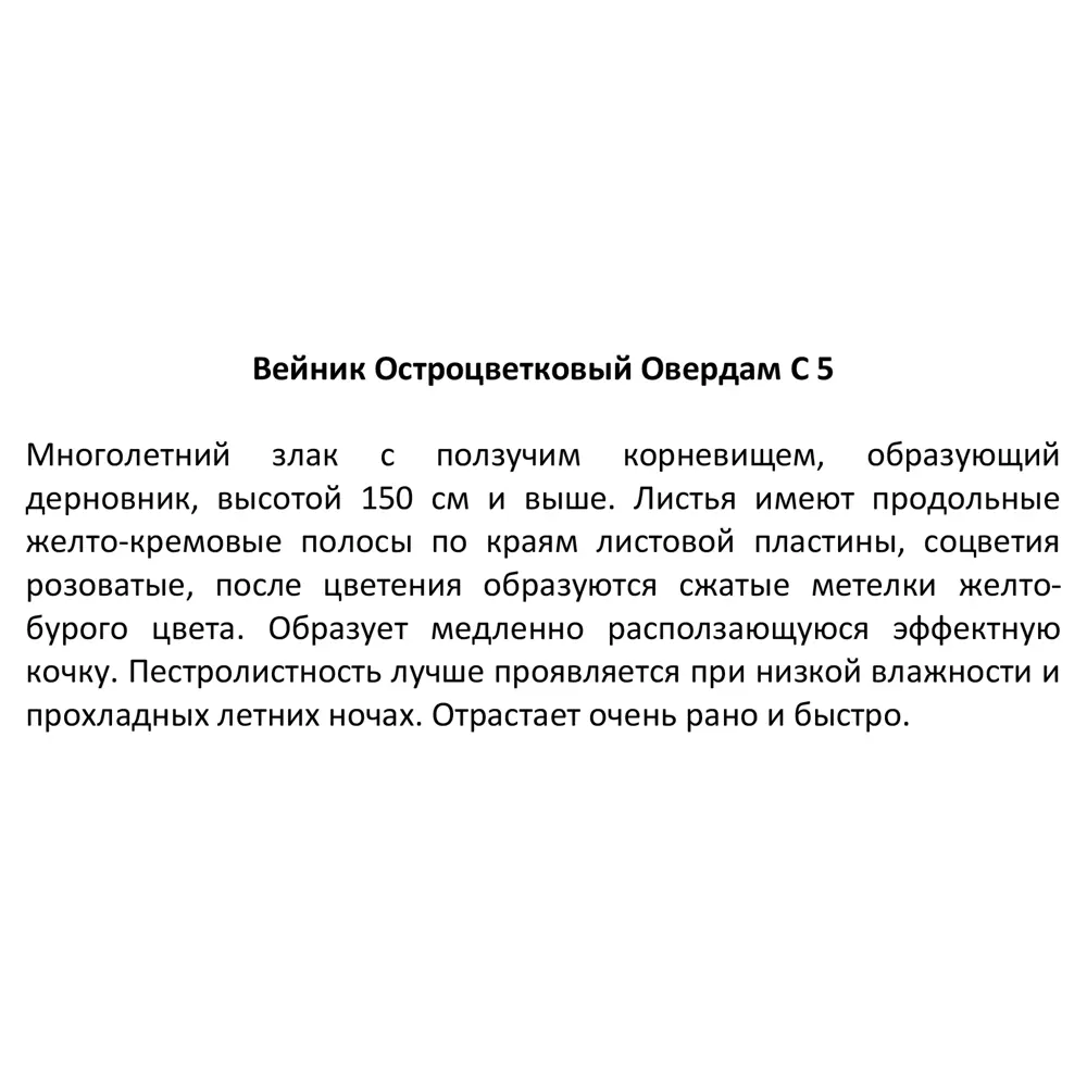 Фото 6 Вейник микс ø21.5 h50 см Фото 6 Вейник микс ø21.5 h50 см