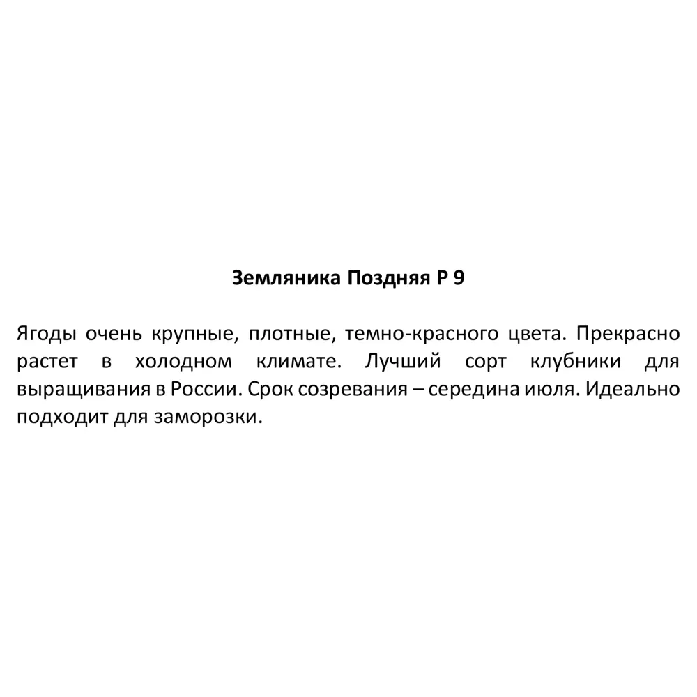 Фото 3 Земляника поздняя ø9 h20 см Фото 3 Земляника поздняя ø9 h20 см