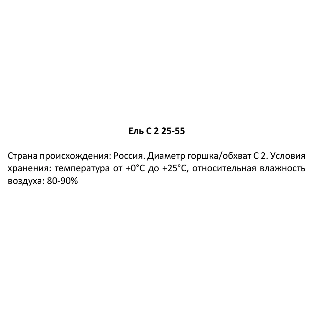 Фото 3 Ель ø15 h25 - 55 см Фото 3 Ель ø15 h25 - 55 см