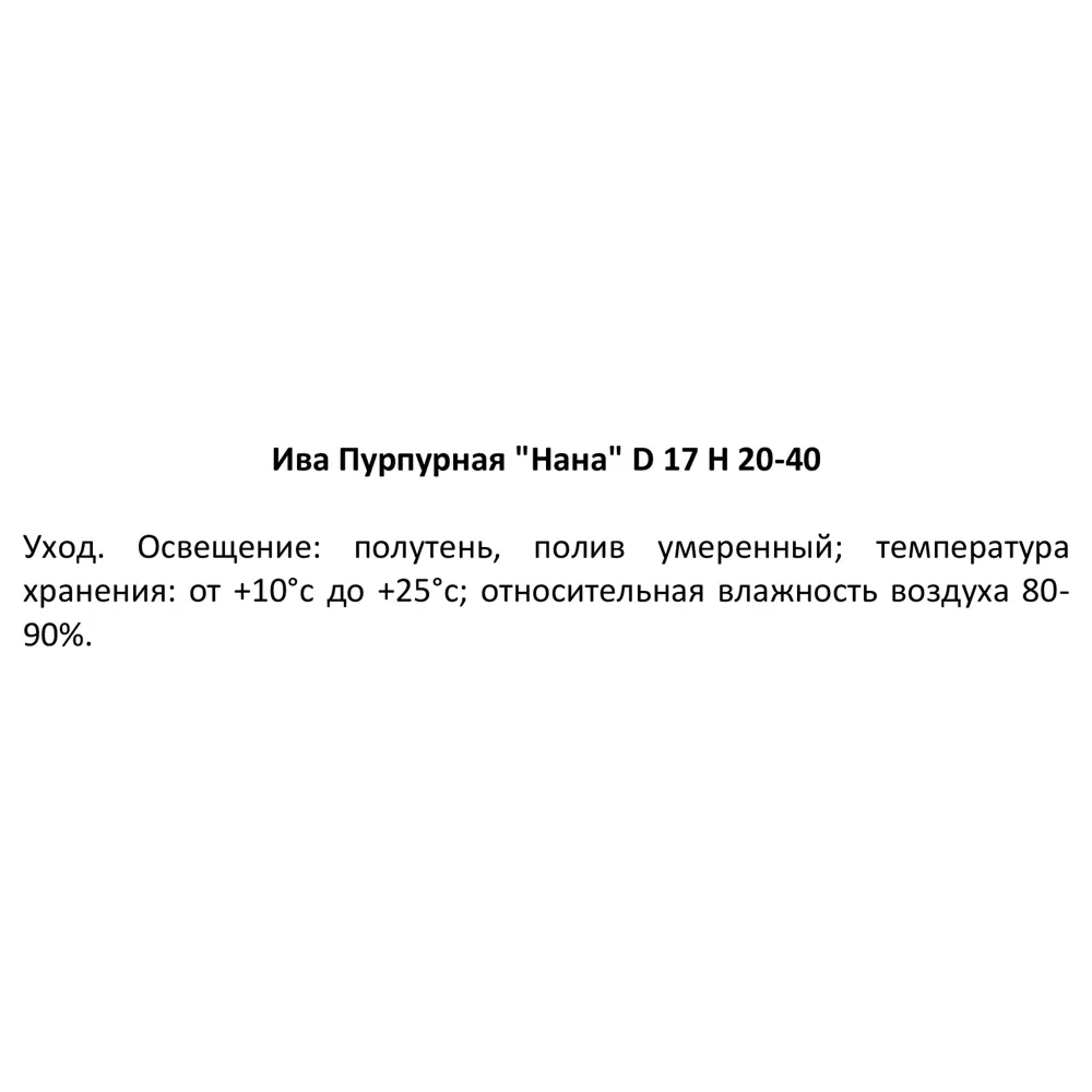 Фото 4 Ива пурпурная Нана ø17 h20-40 см