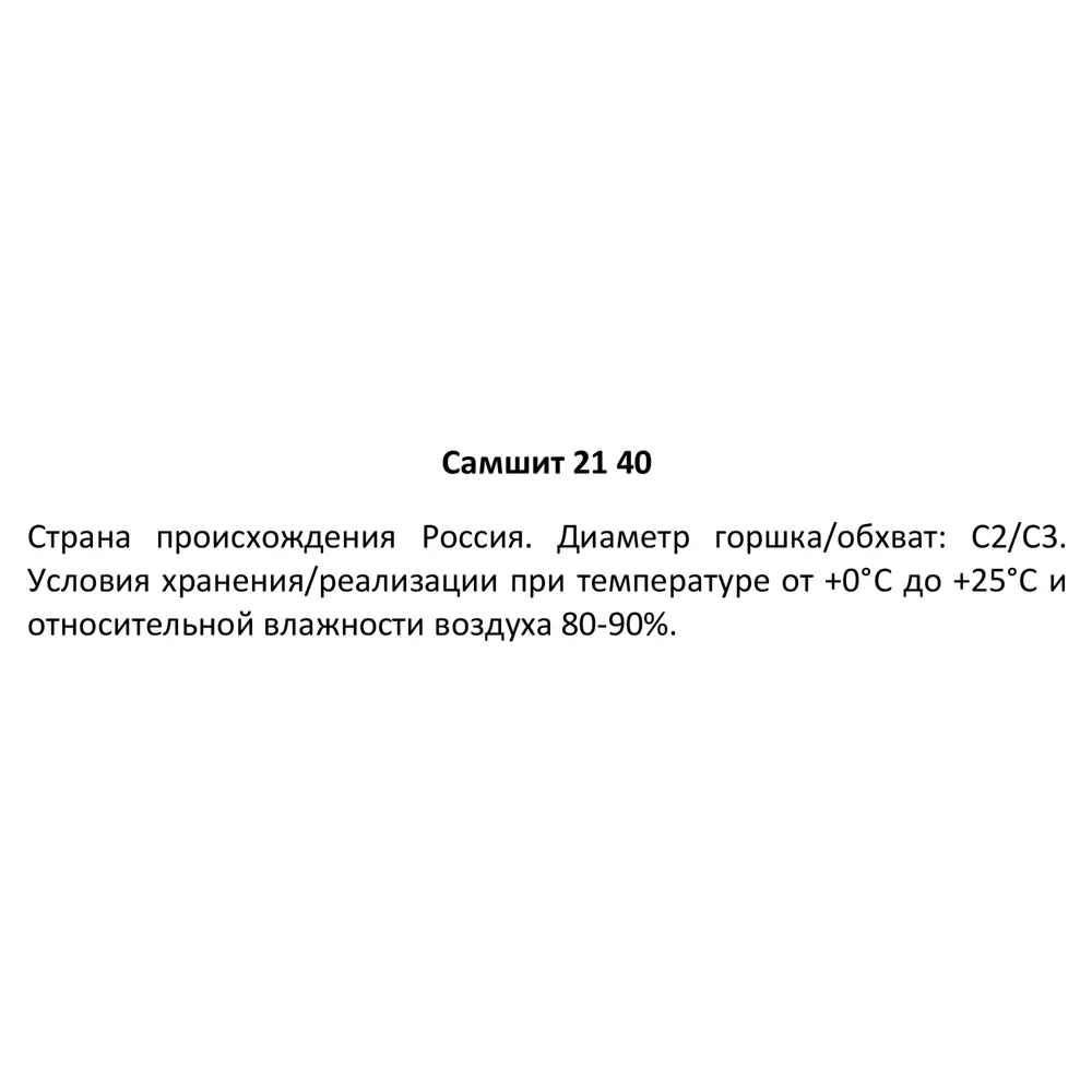 Фото 3 Самшит ø21 h40 см Фото 3 Самшит ø21 h40 см