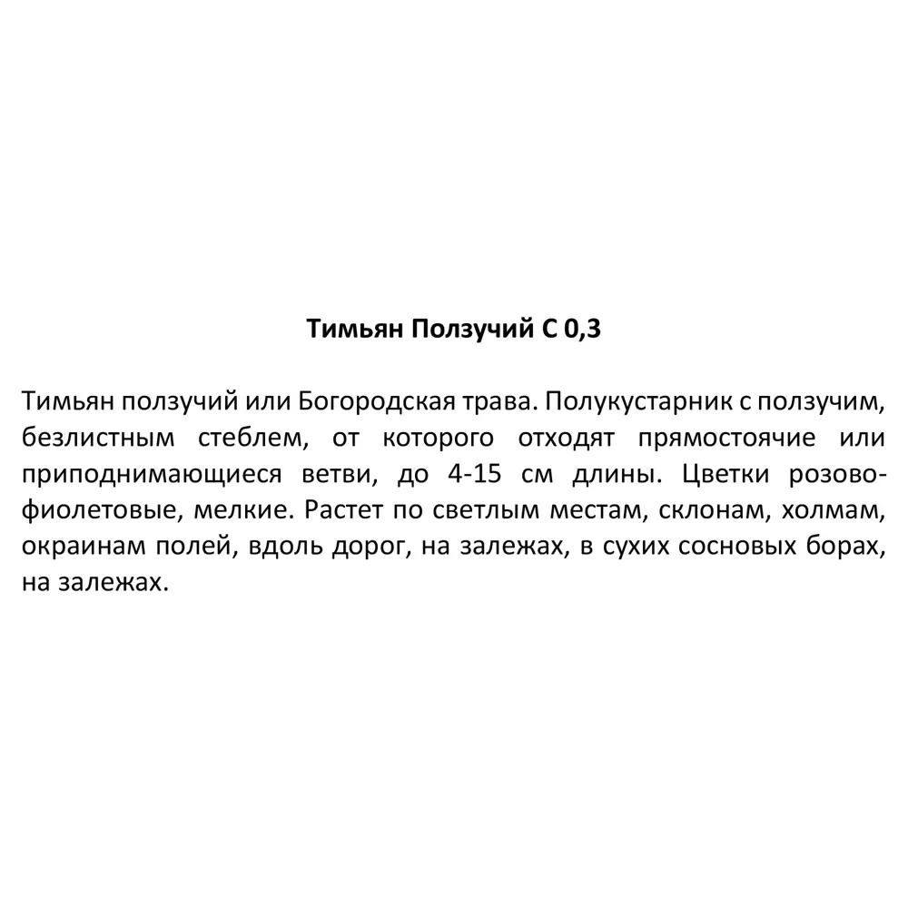 Фото 3 Тимьян Ползучий h15 см