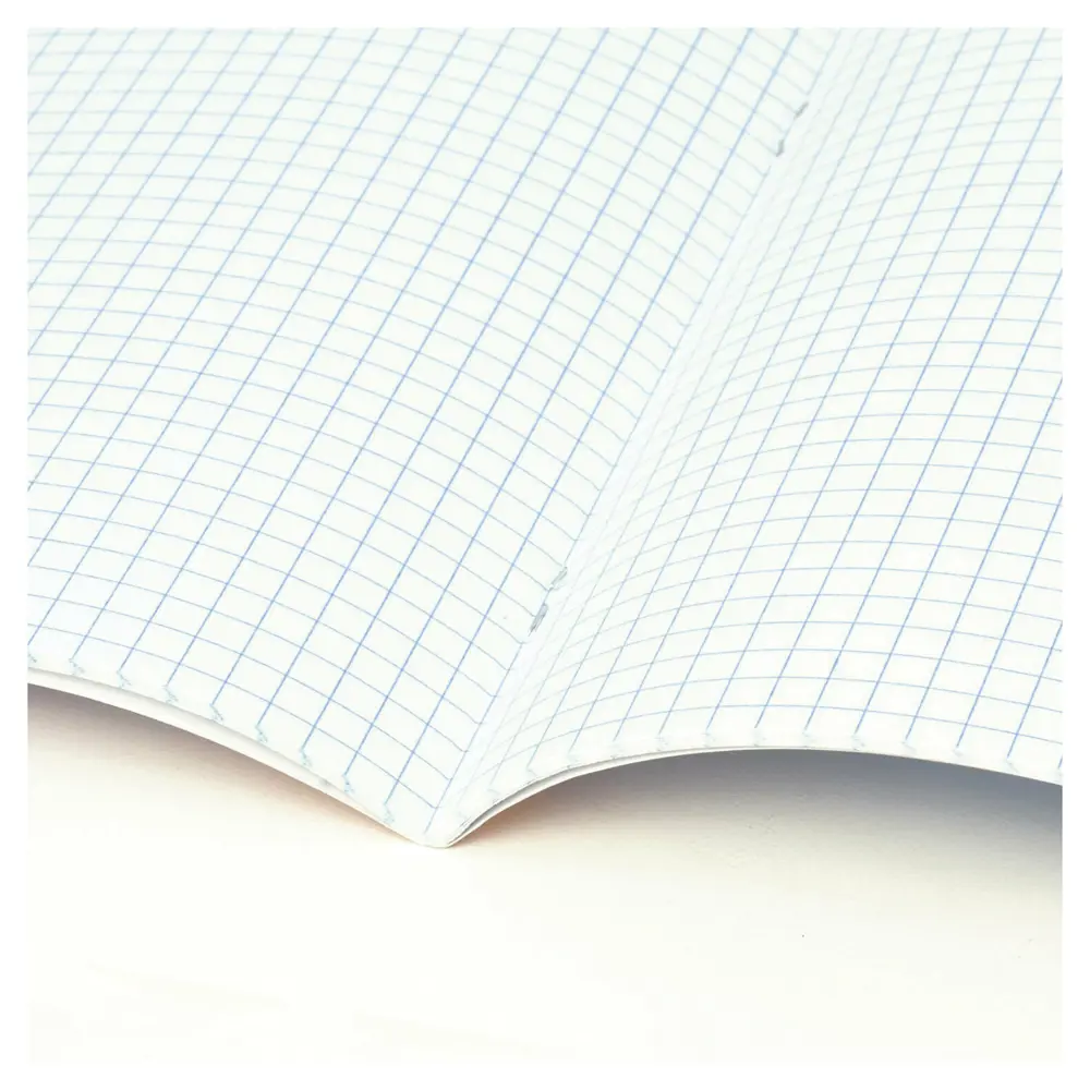 Фото 10 Тетрадь для школы тонкая 12 листов Комплект 10 штук Brauberg 106663, клетка, обложка картон, Питомцы Фото 10 Тетрадь для школы тонкая 12 листов Комплект 10 штук Brauberg 106663, клетка, обложка картон, Питомцы