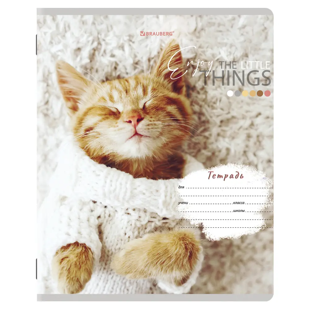 Фото 5 Тетрадь для школы тонкая 12 листов Комплект 10 штук Brauberg 106663, клетка, обложка картон, Питомцы Фото 5 Тетрадь для школы тонкая 12 листов Комплект 10 штук Brauberg 106663, клетка, обложка картон, Питомцы
