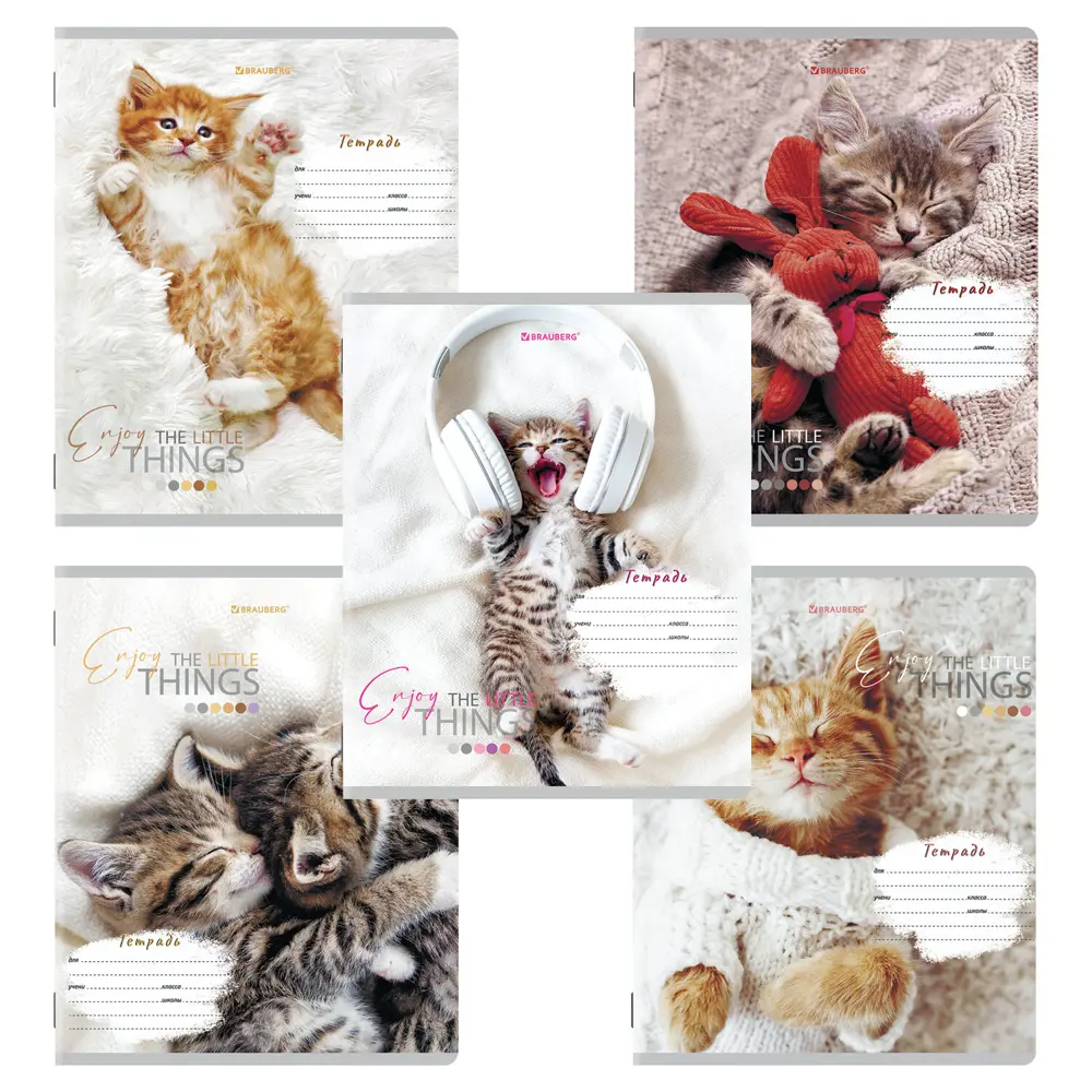 Фото 3 Тетрадь для школы тонкая 12 листов Комплект 10 штук Brauberg 106663, клетка, обложка картон, Питомцы Фото 3 Тетрадь для школы тонкая 12 листов Комплект 10 штук Brauberg 106663, клетка, обложка картон, Питомцы