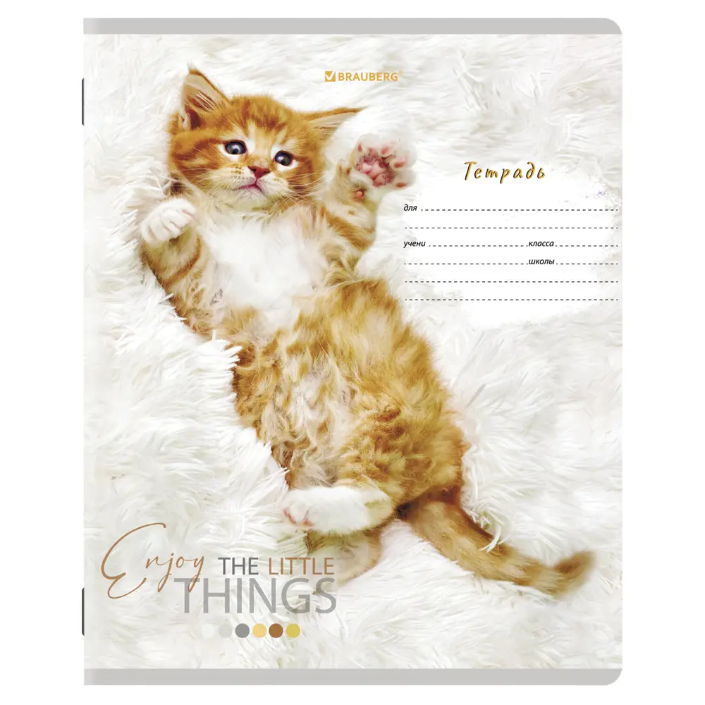 Фото 4 Тетрадь для школы тонкая 12 листов Комплект 10 штук Brauberg 106663, клетка, обложка картон, Питомцы Фото 4 Тетрадь для школы тонкая 12 листов Комплект 10 штук Brauberg 106663, клетка, обложка картон, Питомцы