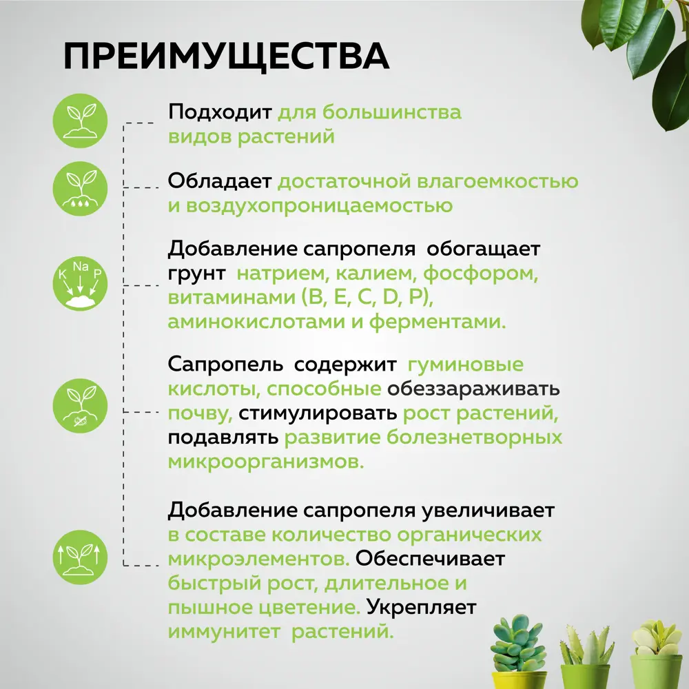 Фото 3 Грунт универсальный для кактусов и суккулентов Грядки Лейки Мексиканский 5 л Фото 3 Грунт универсальный для кактусов и суккулентов Грядки Лейки Мексиканский 5 л