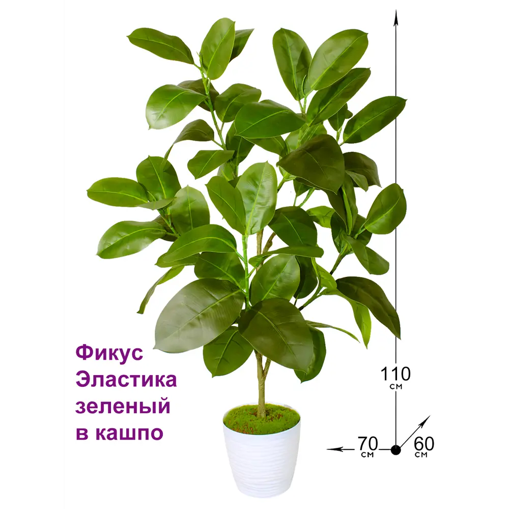 Фото 2 Искусственный Фикус Эластика зеленый 110 см в кашпо ФитоПарк Фото 2 Искусственный Фикус Эластика зеленый 110 см в кашпо ФитоПарк