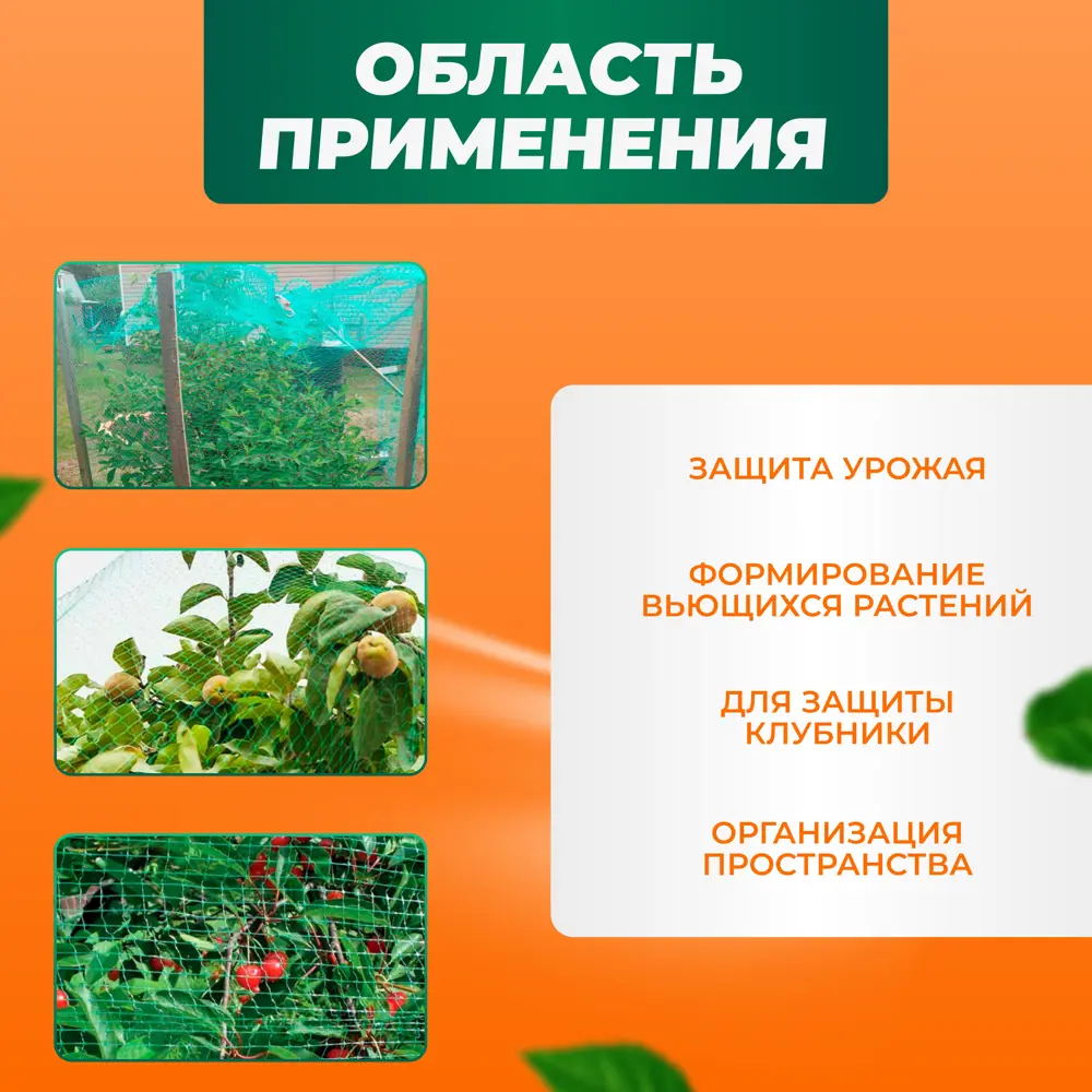 Фото 3 Сетка садовая для защиты растений и урожая от птиц ГеоПластБорд 2x10 м зеленый Фото 3 Сетка садовая для защиты растений и урожая от птиц ГеоПластБорд 2x10 м зеленый