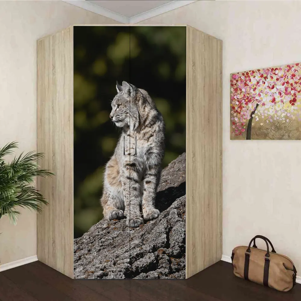 Фото 8 Пленка самоклеящаяся универсальная Wallfix W431 0.95x2.2 м, цвет серый, зеленый, черный Фото 8 Пленка самоклеящаяся универсальная Wallfix W431 0.95x2.2 м, цвет серый, зеленый, черный