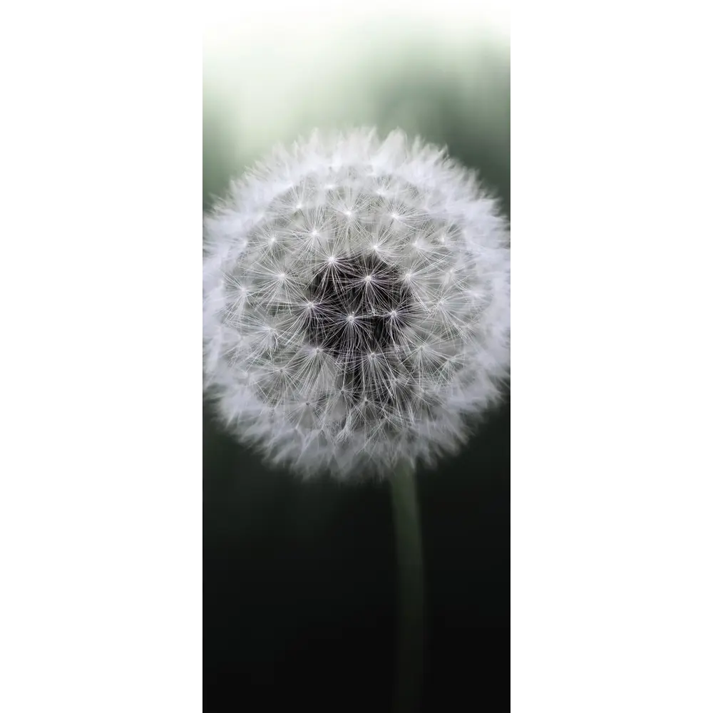 Фото Пленка самоклеящаяся универсальная Wallfix W502 0.95x2.2 м, цвет темно-зеленый, светло-серый Фото Пленка самоклеящаяся универсальная Wallfix W502 0.95x2.2 м, цвет темно-зеленый, светло-серый