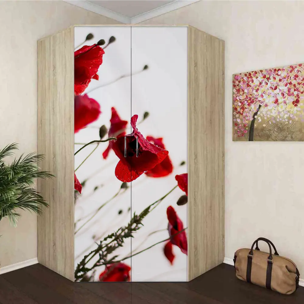 Фото 8 Пленка самоклеящаяся универсальная Wallfix W556 0.95x2.2 м, цвет белый, красный Фото 8 Пленка самоклеящаяся универсальная Wallfix W556 0.95x2.2 м, цвет белый, красный