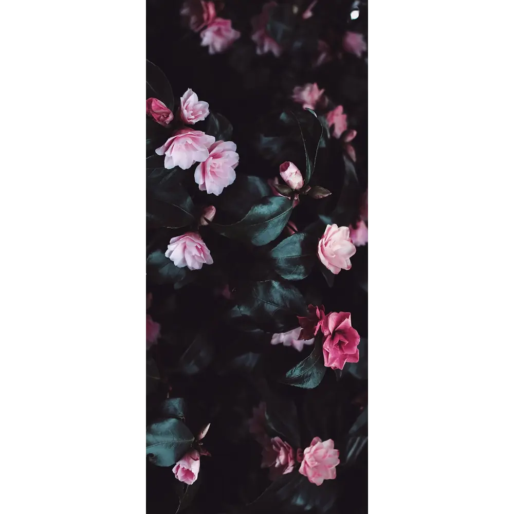 Фото Пленка самоклеящаяся универсальная Wallfix W557 0.95x2.2 м, цвет темно-зеленый, светло-розовый Фото Пленка самоклеящаяся универсальная Wallfix W557 0.95x2.2 м, цвет темно-зеленый, светло-розовый