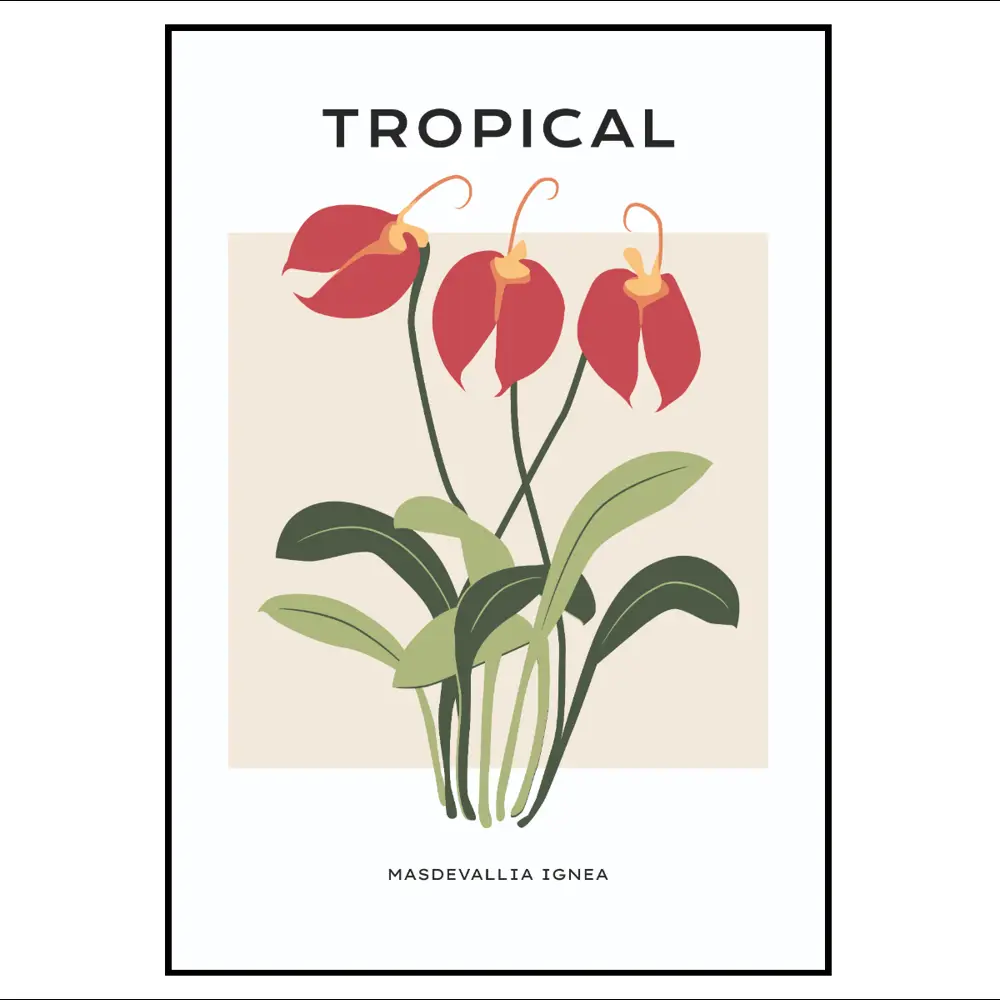 Фото 2 Постер 28 картин "Тропическа орхидея" 50x40 см Фото 2 Постер 28 картин "Тропическа орхидея" 50x40 см