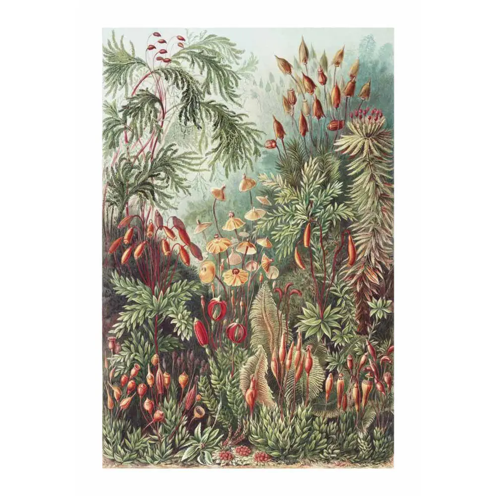 Фото 2 Постер 28 картин "Сказочный лес" 50x40 см Фото 2 Постер 28 картин "Сказочный лес" 50x40 см