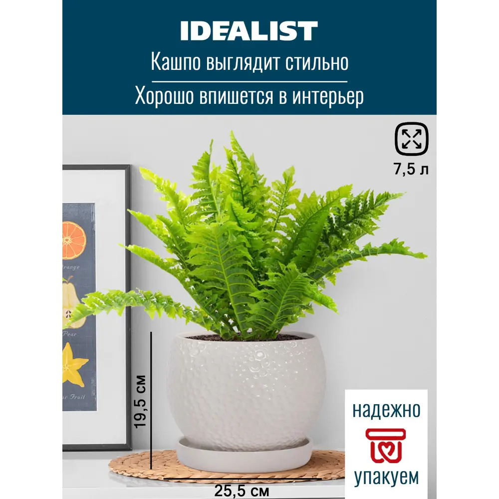 Фото Кашпо Мун керамик Idealist lite 25.5 см 19.5 см 7 л керамика белый Фото Кашпо Мун керамик Idealist lite 25.5 см 19.5 см 7 л керамика белый
